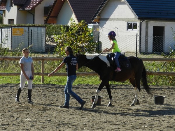 Babie Lato 2015